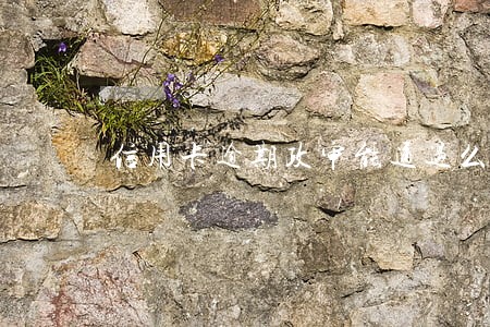 信用卡逾期政审能通过么