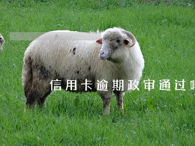 信用卡逾期政审通过吗 信用卡逾期政审通过吗