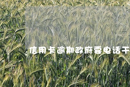 信用卡逾期政府要电话干嘛 信用卡逾期政府要电话干嘛