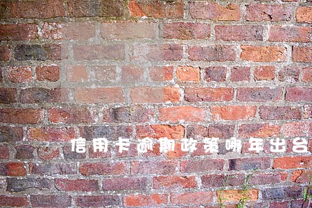 信用卡逾期政策哪年出台的 信用卡逾期政策哪年出台的