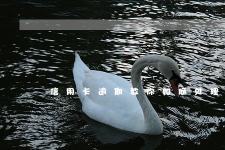 信用卡逾期教你如何处理 信用卡逾期教你如何处理