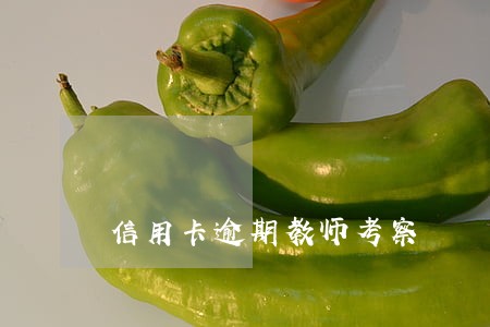 信用卡逾期教师考察 信用卡逾期教师考察