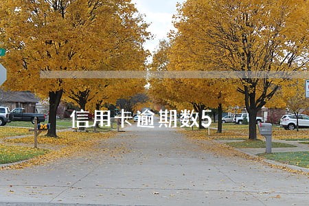 信用卡逾期数5