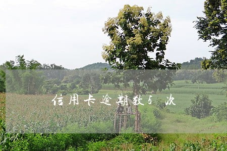 信用卡逾期数5次 信用卡逾期数5次