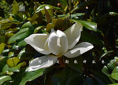 信用卡逾期数什么意思