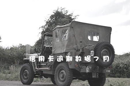 信用卡逾期数据7月 信用卡逾期数据7月