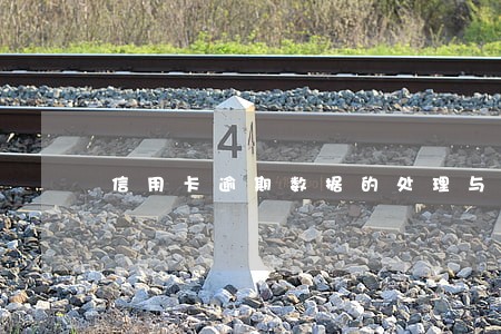 信用卡逾期数据的处理与分析论文 信用卡逾期数据的处理与分析论文
