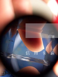 信用卡逾期数额较大指多少 信用卡逾期数额较大指多少