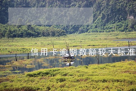 信用卡逾期数额较大标准判几年 信用卡逾期数额较大标准判几年