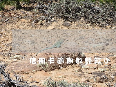 信用卡逾期数额较小