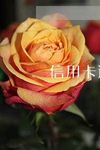 信用卡逾期整合政策