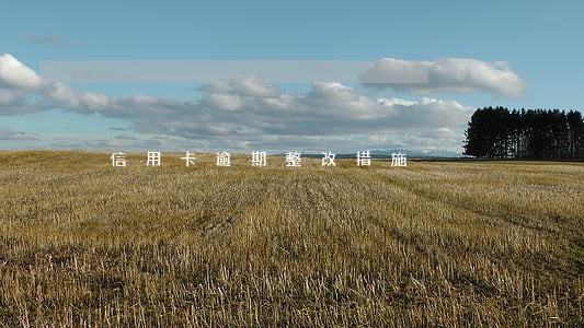 信用卡逾期整改措施