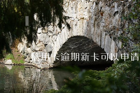 信用卡逾期新卡可以申请吗 信用卡逾期新卡可以申请吗