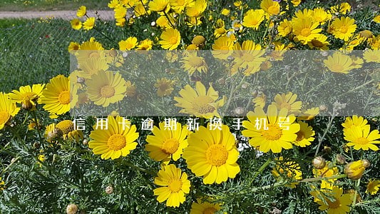 信用卡逾期新换手机号