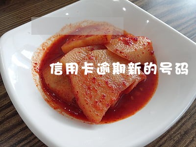 信用卡逾期新的号码 信用卡逾期新的号码