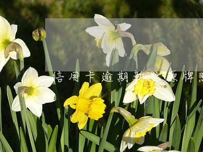 信用卡逾期新能源牌照 信用卡逾期新能源牌照
