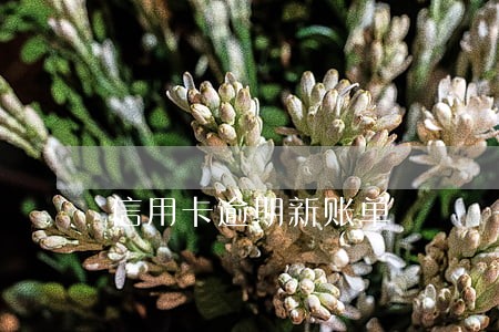 信用卡逾期新账单 信用卡逾期新账单