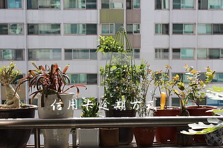 信用卡逾期方式 信用卡逾期方式