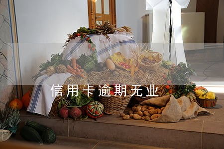 信用卡逾期无业 信用卡逾期无业