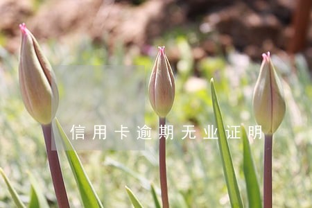 信用卡逾期无业证明