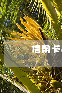 信用卡逾期无人能帮怎么办 信用卡逾期无人能帮怎么办