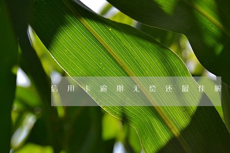 信用卡逾期无偿还最佳解决办法 信用卡逾期无偿还最佳解决办法