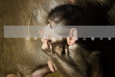 信用卡逾期无偿还能力但每个月都还一点钱 信用卡逾期无偿还能力但每个月都还一点钱