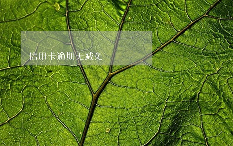 信用卡逾期无减免 信用卡逾期无减免