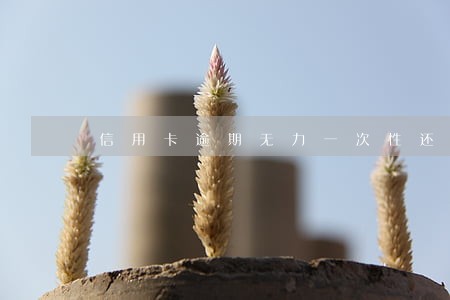 信用卡逾期无力一次性还清全款 信用卡逾期无力一次性还清全款