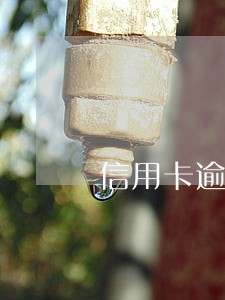 信用卡逾期无力偿款怎么办 信用卡逾期无力偿款怎么办