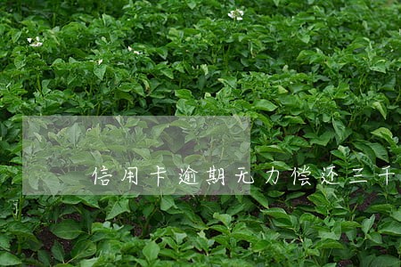 信用卡逾期无力偿还三千元