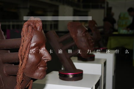 信用卡逾期无力偿还什么方法上岸 信用卡逾期无力偿还什么方法上岸