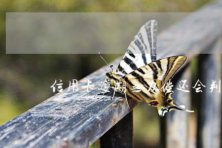 信用卡逾期无力偿还会判几年刑 信用卡逾期无力偿还会判几年刑