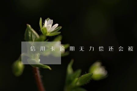 信用卡逾期无力偿还会被告吗 信用卡逾期无力偿还会被告吗