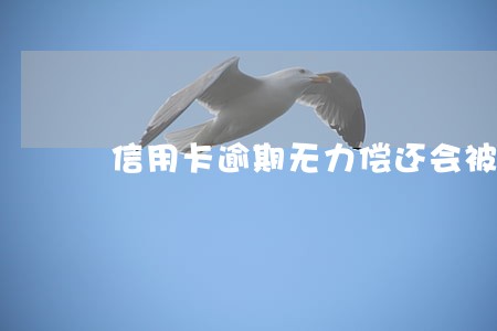 信用卡逾期无力偿还会被拒吗 信用卡逾期无力偿还会被拒吗