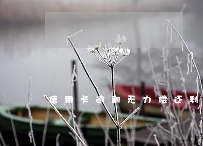 信用卡逾期无力偿还利息还在涨 信用卡逾期无力偿还利息还在涨