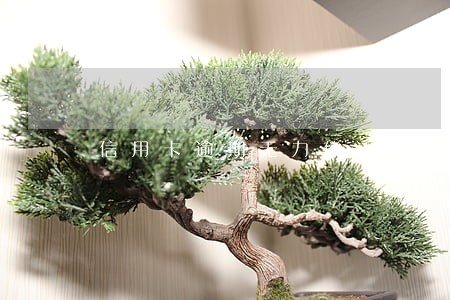 信用卡逾期无力偿还协商分期申请 信用卡逾期无力偿还协商分期申请