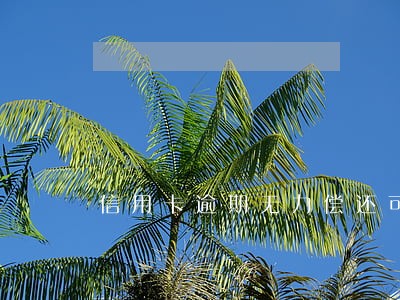 信用卡逾期无力偿还可以报警吗 信用卡逾期无力偿还可以报警吗