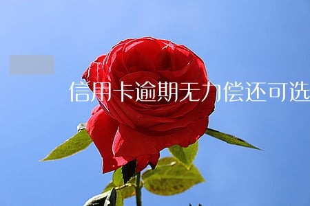 信用卡逾期无力偿还可选择刑拘吗 信用卡逾期无力偿还可选择刑拘吗