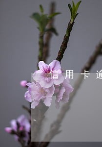 信用卡逾期无力偿还坐几年牢 信用卡逾期无力偿还坐几年牢