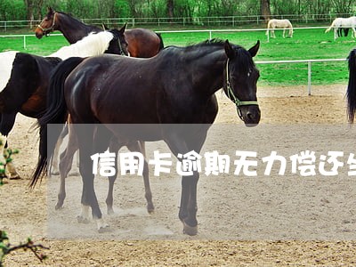 信用卡逾期无力偿还坐牢吗 信用卡逾期无力偿还坐牢吗