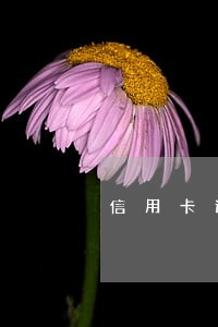 信用卡逾期无力偿还如何应诉 信用卡逾期无力偿还如何应诉