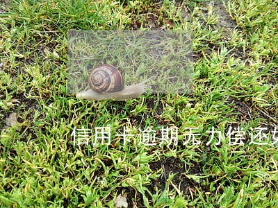 信用卡逾期无力偿还如何解决 信用卡逾期无力偿还如何解决