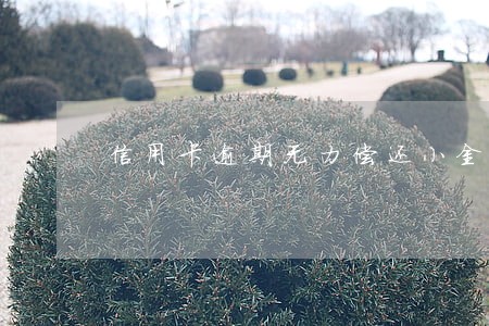信用卡逾期无力偿还小金额 信用卡逾期无力偿还小金额