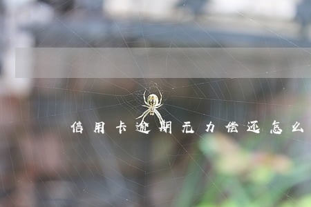 信用卡逾期无力偿还怎么办好 信用卡逾期无力偿还怎么办好