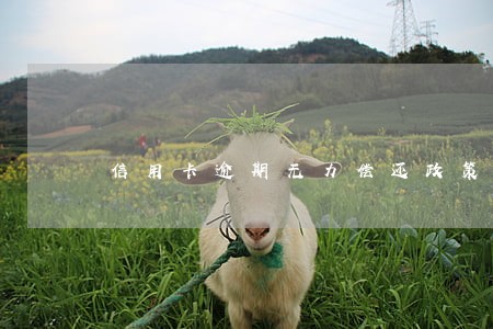 信用卡逾期无力偿还政策