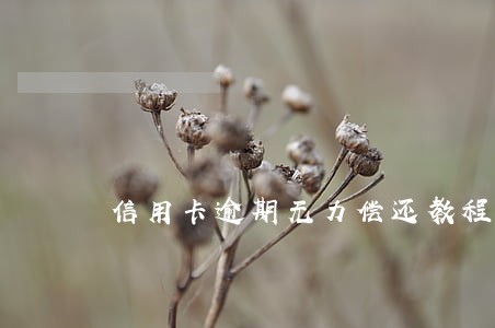 信用卡逾期无力偿还教程 信用卡逾期无力偿还教程