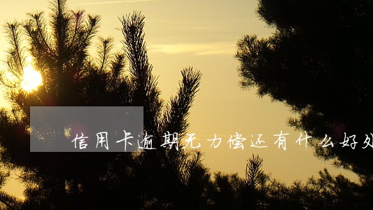 信用卡逾期无力偿还有什么好处 信用卡逾期无力偿还有什么好处