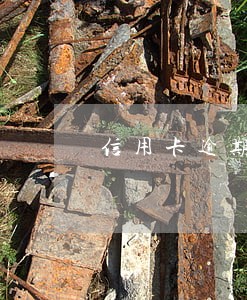 信用卡逾期无力偿还欠款怎么办 信用卡逾期无力偿还欠款怎么办