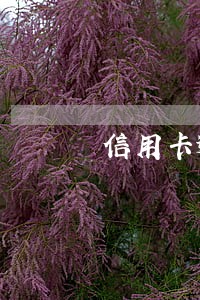 信用卡逾期无力偿还每月还几千 信用卡逾期无力偿还每月还几千
